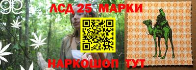 спиды Новокубанск