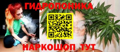 амф Новодвинск