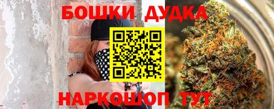 PSILOCYBIN Новозыбков