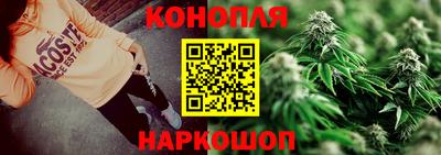 PSILOCYBIN Новозыбков