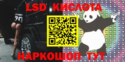 амф Новодвинск