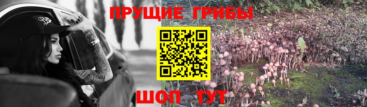 где можно купить   Вход с VPN  Усинск  Галлюциногенные грибы мухоморы  Псилоцибиновые грибы Psilocybe 